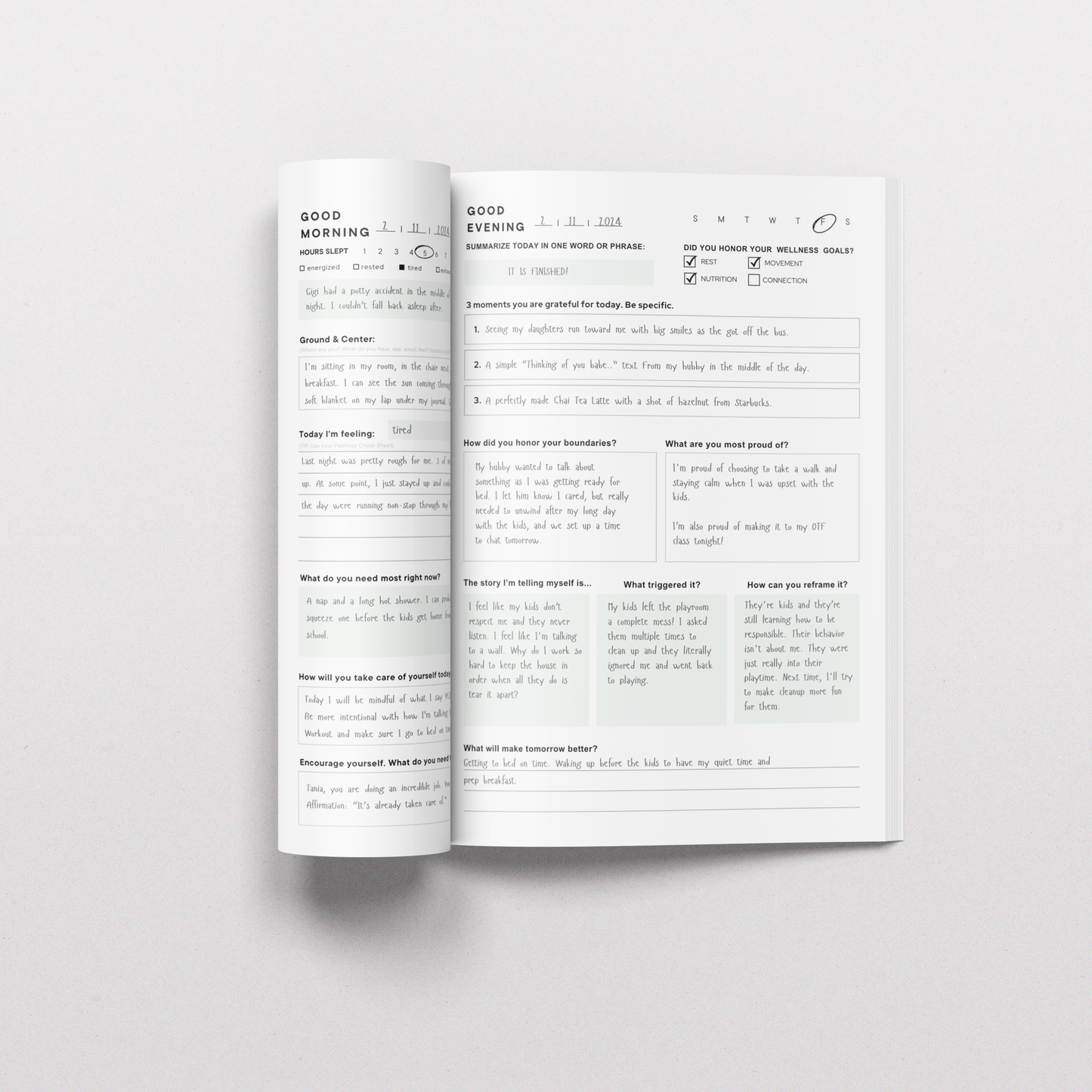 Renew Journal (Paperback)